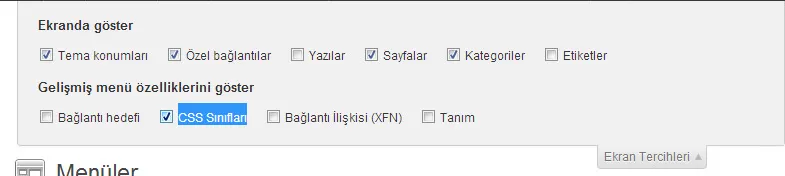 CSS Sınıfları